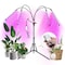 Homevenus 4 Heads Full Spectrum LED Grow Lights With Tripod For Indoor Plants GLT04 - alternate 1